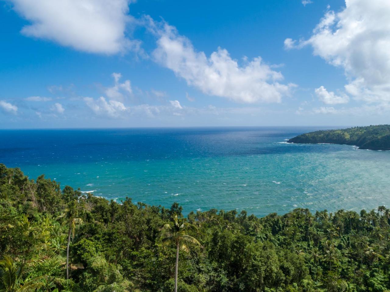 Pagua Bay House - Oceanfront Cabana'S Мариго Экстерьер фото